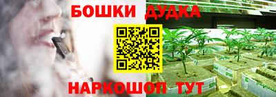 прущие грибы Будённовск