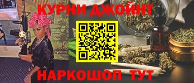 прущие грибы Будённовск