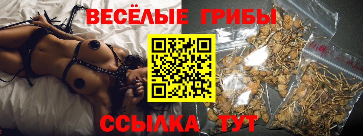 Галлюциногенные грибы ЛСД  Вход с VPN  Ставрополь 